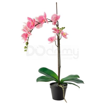 FEJKA 902.923.01 IKEA (ИКЕА ФЕЙКА), фото 1