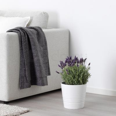 LAVANDULA 004.933.23 IKEA (ИКЕА Lavandula), фото 2