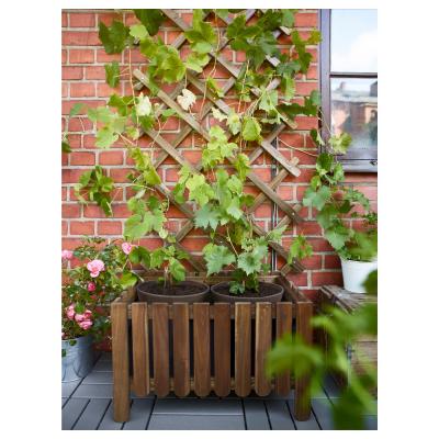 Ящик для квітів ASKHOLMEN 302.586.73 IKEA (ИКЕА АСКХОЛЬМЕН), фото 5