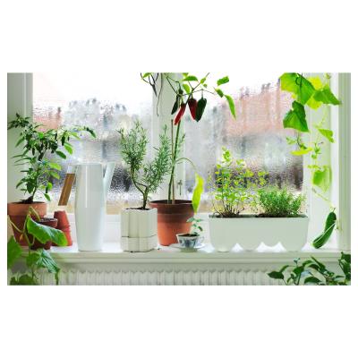 Лейка BITTERGURKA 303.680.68 IKEA (ИКЕА БИТТЕРГУРКА), фото 3