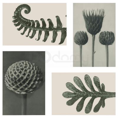 YLLEVAD 205.004.74 IKEA (ИКЕА ИЛЛЕВАД), фото 1