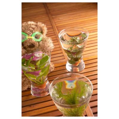 Ваза VASEN 000.171.33 IKEA (ИКЕА ВАСЕН), фото 4