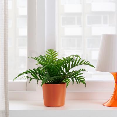 Горщик OMFÅNG 404.833.98 IKEA (ИКЕА OMFÅNG), фото 2