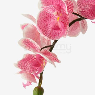 FEJKA 902.923.01 IKEA (ИКЕА ФЕЙКА), фото 4