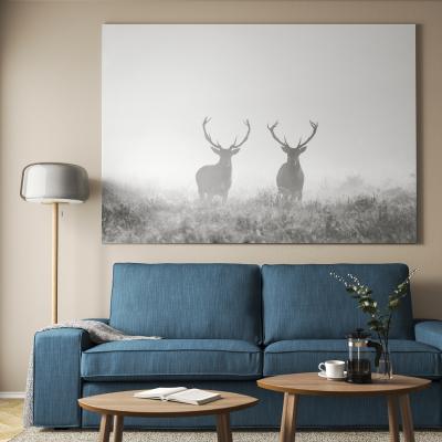 Картина з рамою BJÖRKSTA 693.849.63 IKEA (ИКЕА BJÖRKSTA), фото 3