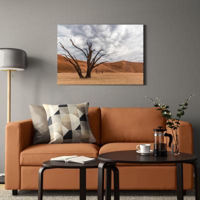 Картина PJÄTTERYD 205.004.31 IKEA (ИКЕА PJÄTTERYD), фото 2