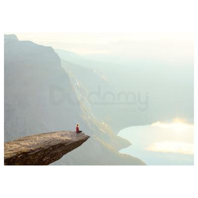 Картина PJÄTTERYD 904.914.85 IKEA (ИКЕА PJÄTTERYD), фото 1