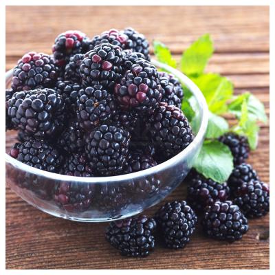 Цветочная отдушка DOFTA 403.377.93 IKEA (ИКЕА ДОФТА), фото 4