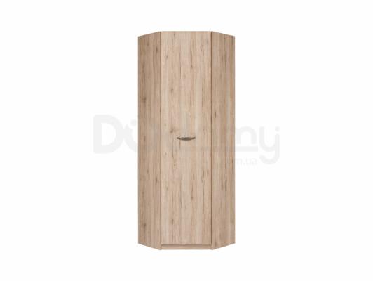 Шафа BRW EXECUTIVE SZFN1D дуб сан ремо, фото 1