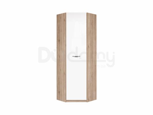 Шкаф BRW EXECUTIVE SZFN1D Дуб сан ремо/Белый блеск, фото 1