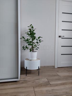 Журнальний стіл HALMAR SINTRA білий, фото 2