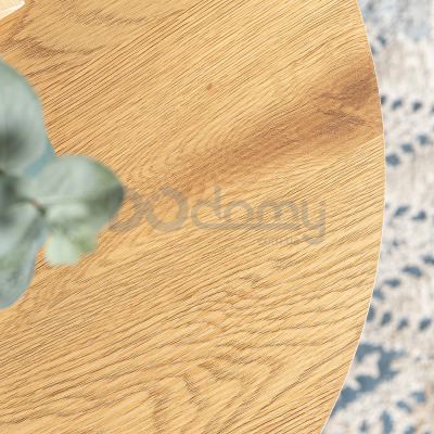 Комплект журнальних столиків MEBEL ELITE DELIA Дуб Золотий, фото 4