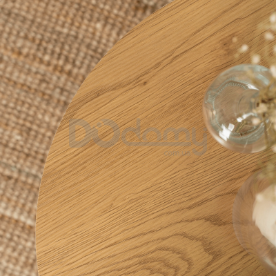 Журнальний стіл MEBEL ELITE ANN Дуб / Білий, фото 2