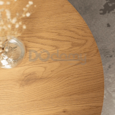 Журнальный стол MEBEL ELITE ANN MAX Дуб / Белый, фото 3