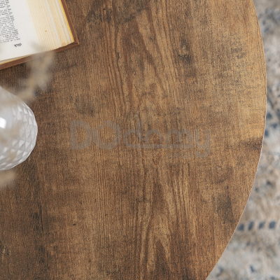 Журнальний стіл ELITE TIM Дуб Rustykalny, фото 2