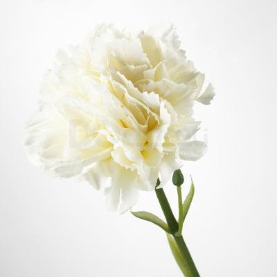 Искусственный цветок SMYCKA 203.335.88 IKEA (ИКЕА ПОКЛОН), фото 3