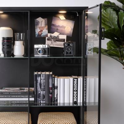 Скляна дверна шафа RUDSTA/VAXMYRA 494.178.13 IKEA (ИКЕА РУДСТА/ВАКСМИРА), фото 4