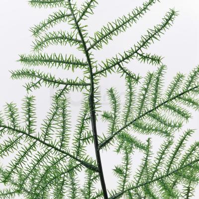 SMYCKA 404.965.36 IKEA (ИКЕА ПОКЛОН), фото 3