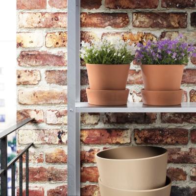 CAMPANULA PORTENSCHLAGIANA 304.918.60 IKEA (ИКЕА CAMPANULA PORTENSCHLAGIANA), фото 3