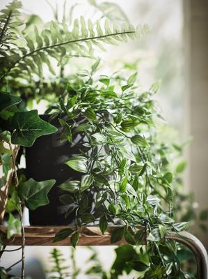 Искусственное растение FEJKA 403.495.31 IKEA (ИКЕА ФЕЙКА), фото 7