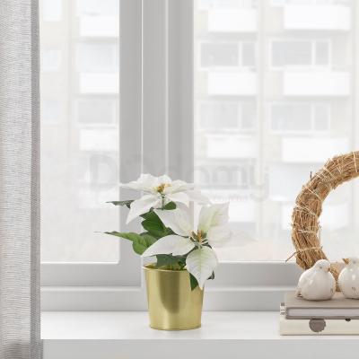 Искусственное растение FEJKA 204.966.36 IKEA (ИКЕА ФЕЙКА), фото 2