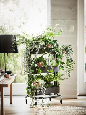 Искусственное растение FEJKA 204.684.50 IKEA (ИКЕА ФЕЙКА), фото 6