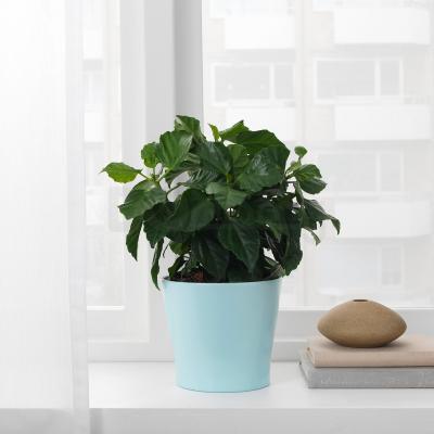 Горщик PAPAJA 504.216.92 IKEA (ИКЕА ПАПАЙЯ), фото 2