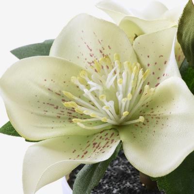 Искусственное растение FEJKA 204.966.03 IKEA (ИКЕА ФЕЙКА), фото 3