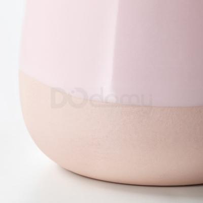 Живое растение SUCCULENT 803.432.78 IKEA (ИКЕА СОЧНЫЕ), фото 4