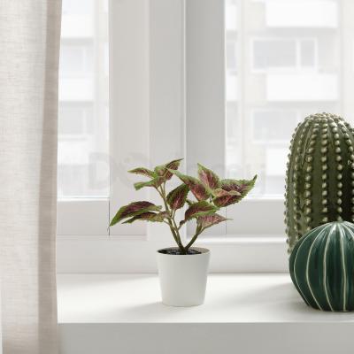 Искусственное растение FEJKA 104.966.08 IKEA (ИКЕА ФЕЙКА), фото 2