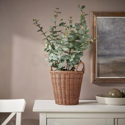 Горщик KAKTUSFIKON 504.968.66 IKEA (ИКЕА КАКТУСФОН), фото 1