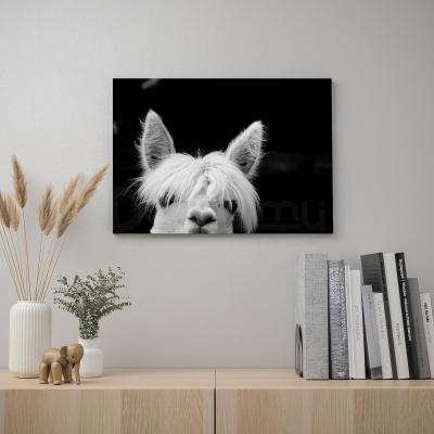 Картина  PJATTERYD 805.076.89 IKEA (ИКЕА ПЯТТЕРИД), фото 2