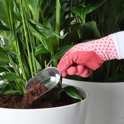 365+ 704.442.92 IKEA (ИКЕА ИКЕА 365+), фото 4