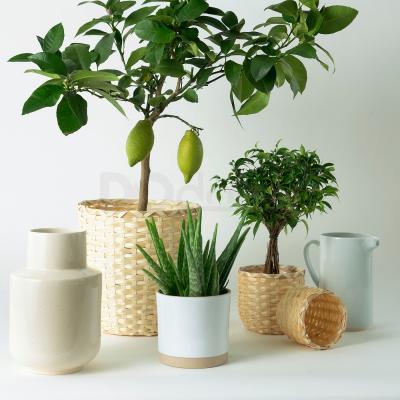 Горщик UPPVAKTA 304.419.93 IKEA (ИКЕА УППВАКТА), фото 4