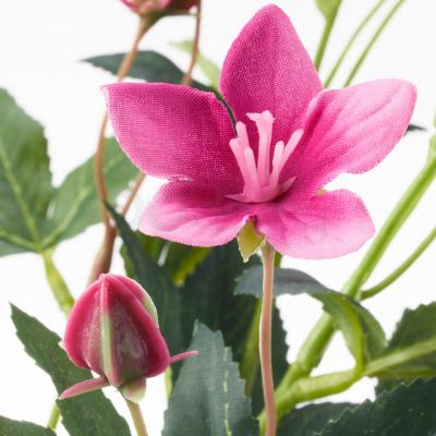 SMYCKA 504.097.32 IKEA (ИКЕА ПОКЛОН), фото 3