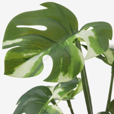 Искусственное растение FEJKA 704.966.10 IKEA (ИКЕА ФЕЙКА), фото 3