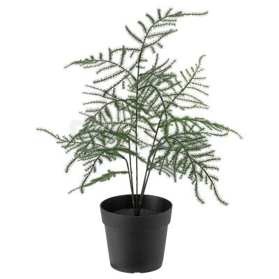 Искусственное растение FEJKA 504.966.11 IKEA (ИКЕА ФЕЙКА), фото 1