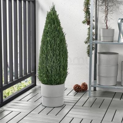 Комнатное растение FEJKA 904.966.28 IKEA (ИКЕА ФЕЙКА), фото 2