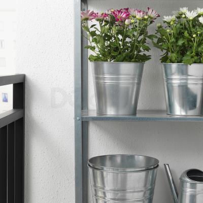 Комнатное растение CHRYSANTHEMUM 104.918.75 IKEA (ИКЕА ХРИЗАНТЕМ), фото 2