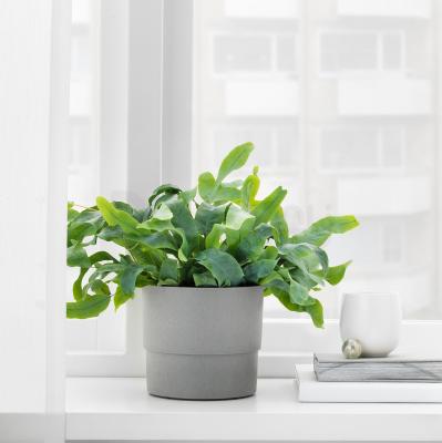 Горшок NYPON 403.956.17 IKEA (ИКЕА НИПОН), фото 3