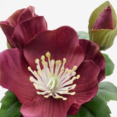 Искусственное растение FEJKA 404.966.40 IKEA (ИКЕА ФЕЙКА), фото 3