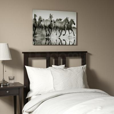 Картина  PJÄTTERYD 504.955.84 IKEA (ИКЕА PJÄTTERYD), фото 2