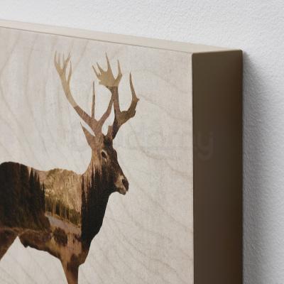 Картина, 2 шт BJÖRNAMO 704.861.02 IKEA (ИКЕА БЬЁРНАМО), фото 3