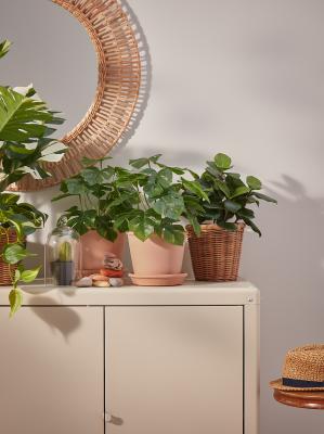 KOLBJORN 304.092.95 IKEA (ИКЕА KOLBJÖRN), фото 10