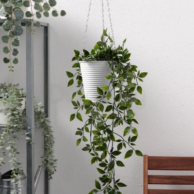 CASHEWÄPPLE 804.683.53 IKEA (ИКЕА НАЛИЧНЫЕ ЭФФЕКТЫ), фото 2