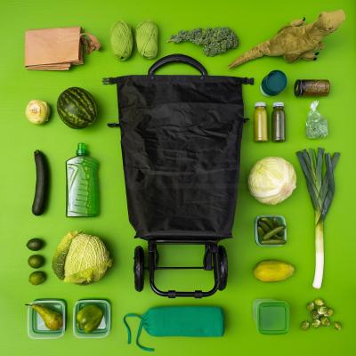 Сумка на колесах для покупок RADARBULLE 704.852.25 IKEA (ИКЕА РАДАРБУЛЬ), фото 7