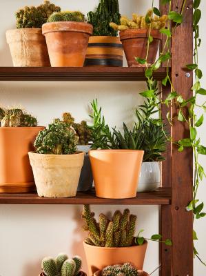 TORDH 904.309.15 IKEA (ИКЕА ТОРД), фото 5