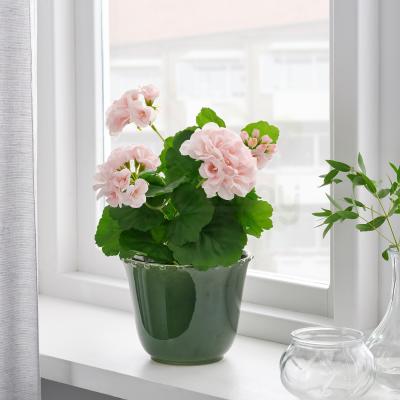 SHARONFRUKT 904.815.80 IKEA (ИКЕА SHARONFRUKT), фото 2