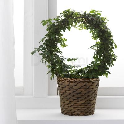 Горщик DRUVFLÄDER 802.418.16 IKEA (ИКЕА ДРУВФЛЭДЕР), фото 3