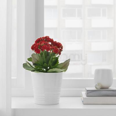 Горщик MUSKOT 303.082.01 IKEA (ИКЕА МУСКОТ), фото 3